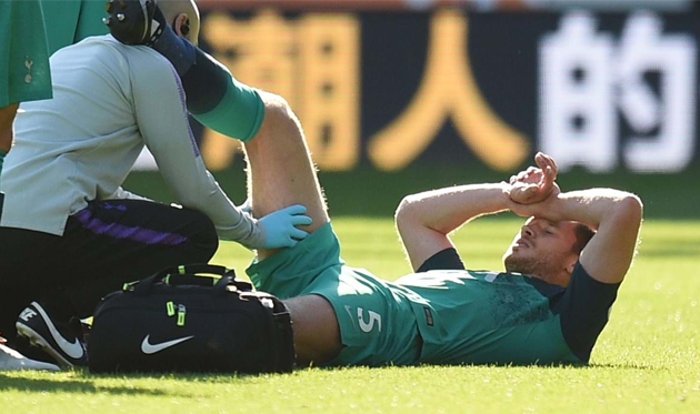 Ян Вертонген, tottenhamhotspur.com