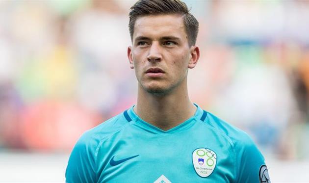 Беньямин Вербич, siol