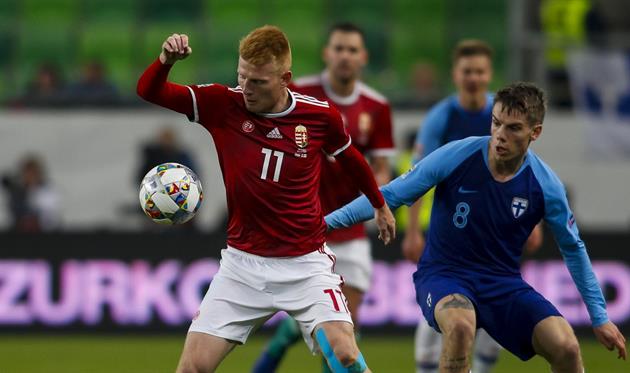 Венгрия — Финляндия: twitter.com/MLSZhivatalos