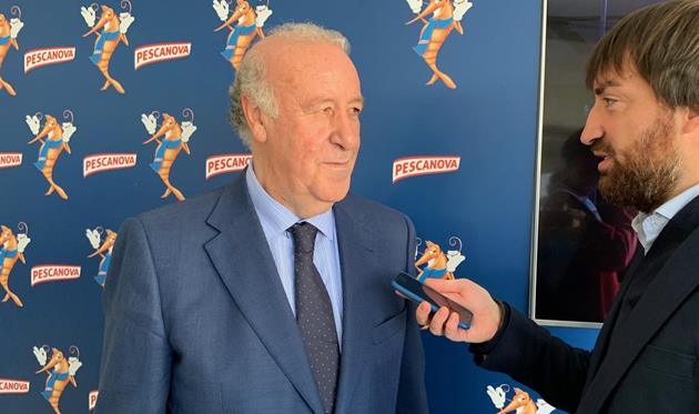 Висенте Дель Боске, Marca