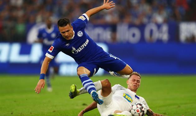 Коноплянка - Дуда, getty images