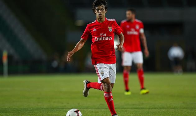 Жуан Фелиш, getty images