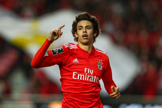 Жоау Фелиш, photo SL Benfica