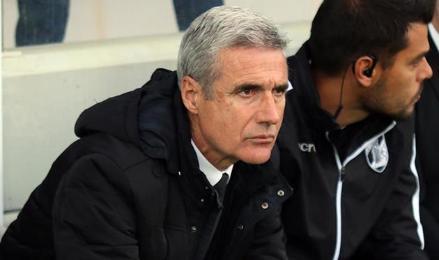 Луиш Каштру, photo Vitoria Guimaraes SC