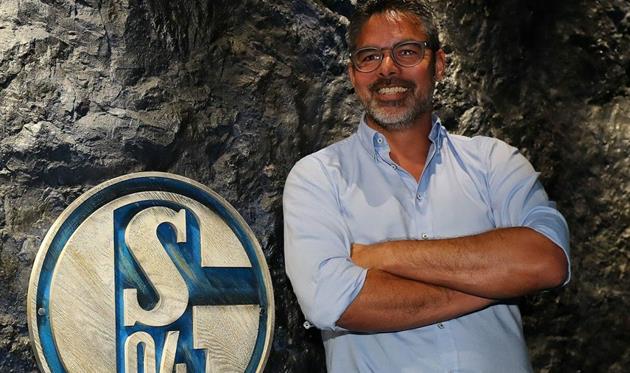 Давид Вагнер, фото ФК Шальке