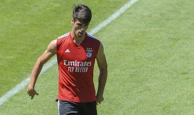 Жоау Феррейра, ФОТО ФК БЕНФИКА