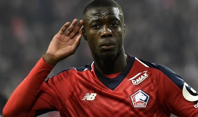 Николя Пепе, Losc Lille