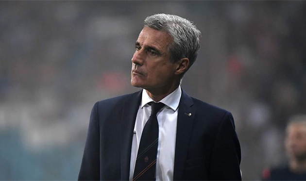 Луиш Каштру, ФК Шахтер