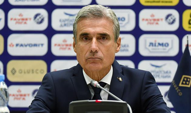 Луиш Каштру, ФК Шахтер 