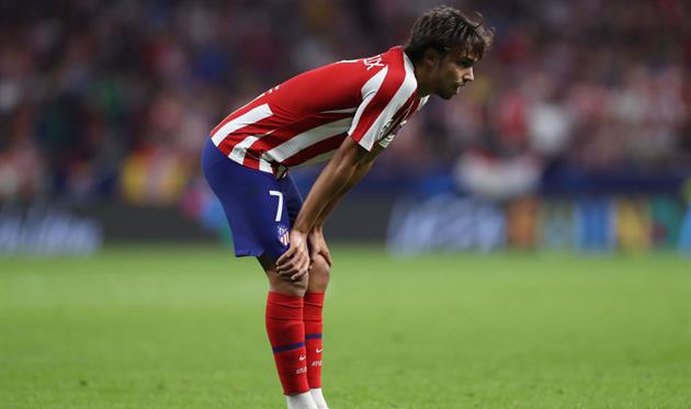 ФЕЛИШ, ФОТО GETTY IMAGES