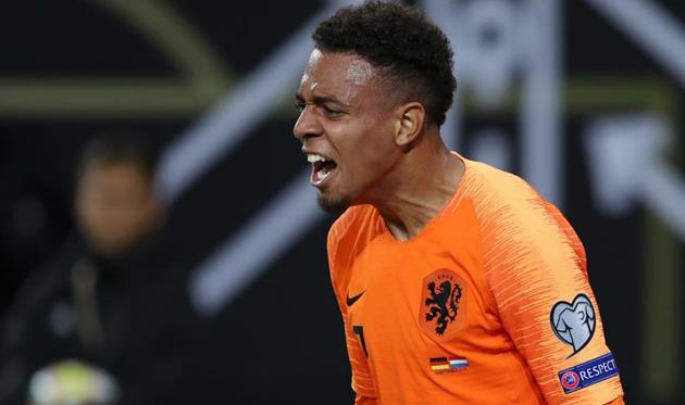 Дониэлл Мален, Getty Images