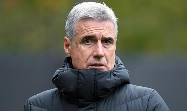 Луиш Каштру, фото ФК Шахтер