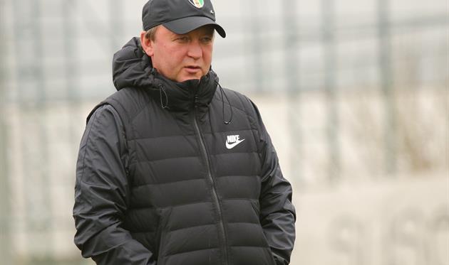 Владимир Шаран, ФК Александрия