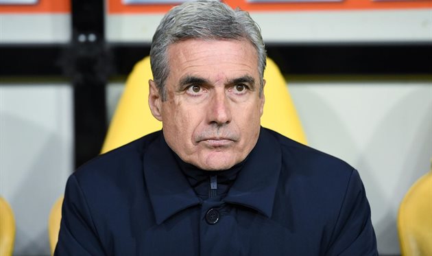 Луиш Каштру, ФК Шахтер