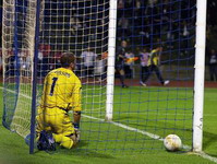 Пол Робинсон