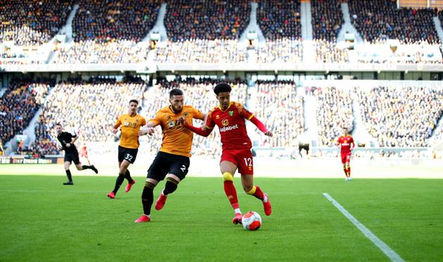 Вулверхэмптон - Норвич, Getty Images