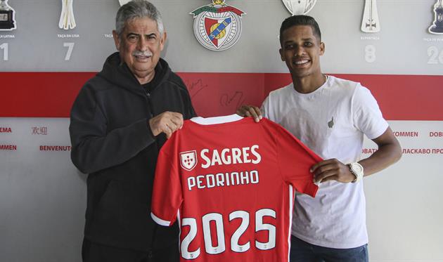 Педриньо, Бенфика