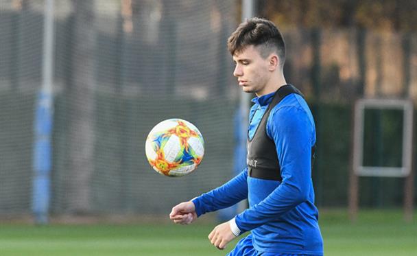 Николай Шапаренко, ФК Динамо 