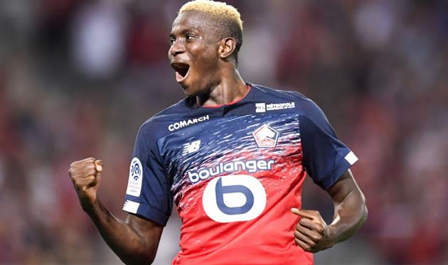 Виктор Осимхен, LOSC Lille