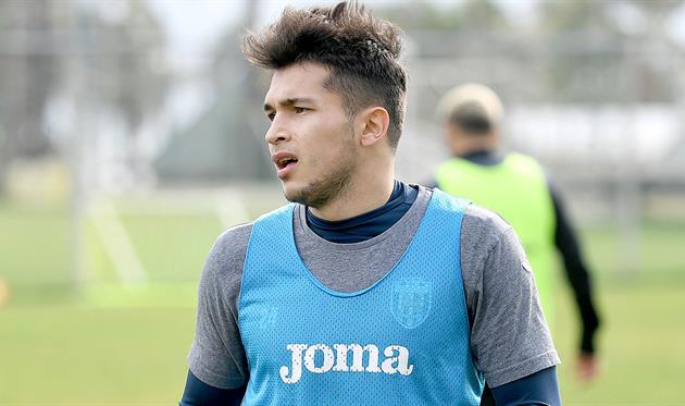 ВЛАДИСЛАВ ДУБИНЧАК, ФОТО ФК КАРПАТЫ