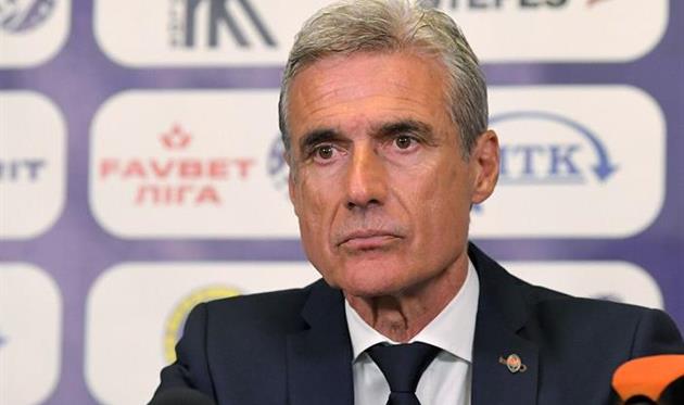 Луиш Каштру, ФК Шахтер Донецк