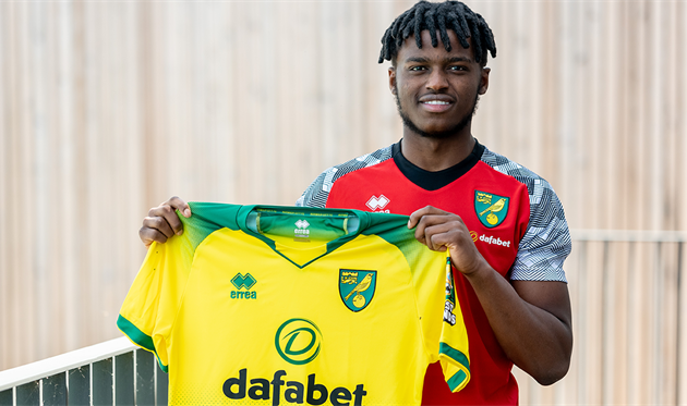 Бали Мумба, Норвич