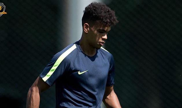 Гриффин Сабатини, СК Днепр-1