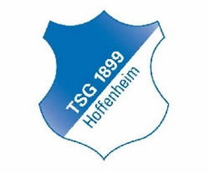 Бундеслига 2008/09. Хоффенхайм