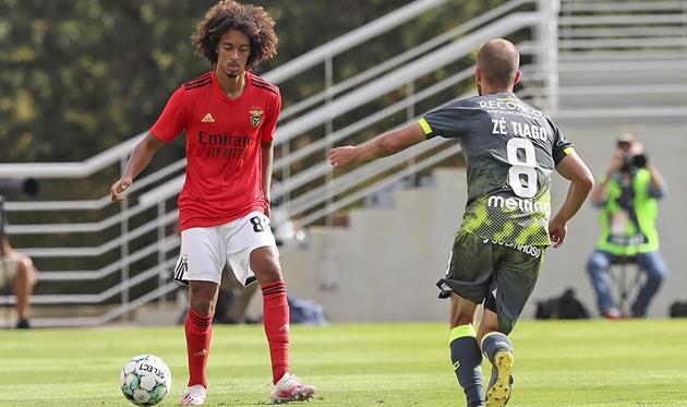 Томаш Тавареш, Бенфика