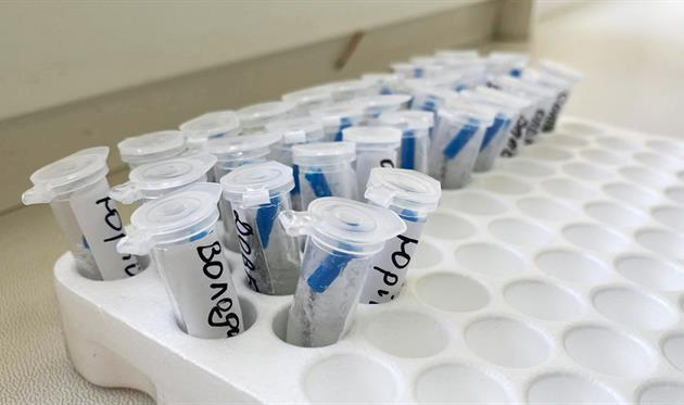 Днепр-1 провел тестирование на коронавирус — зараженных нет