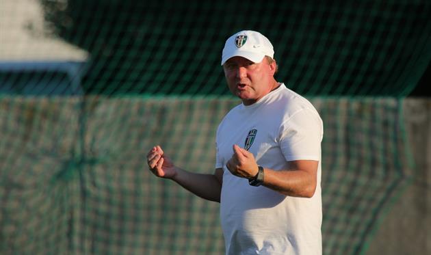 Владимир Шаран, ФК Александрия