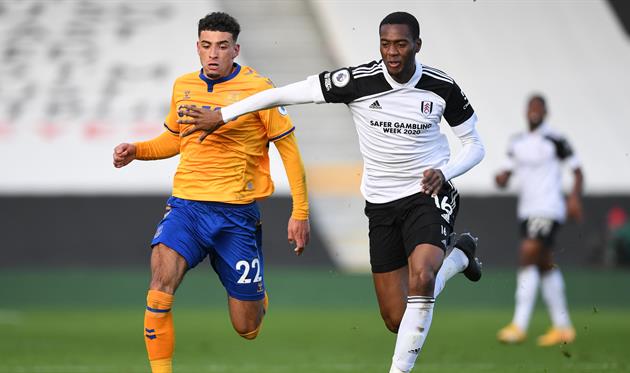 Эвертон - Фулхэм, Getty Images