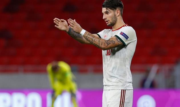 Доминик Собослаи, Getty Images