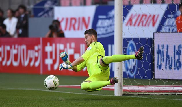 Ибрагим Шехич, который не боится сборную Украины, getty images