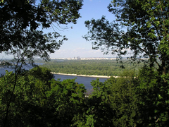 Экологи Украины написали письмо протеста Платини