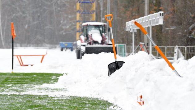 фото ФК Колос Ковалевка