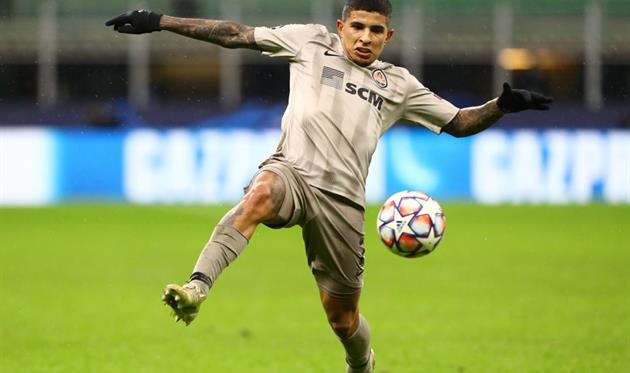 Додо, getty images