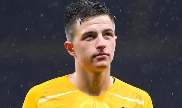 Анатолий Трубин, ФК Шахтер Донецк