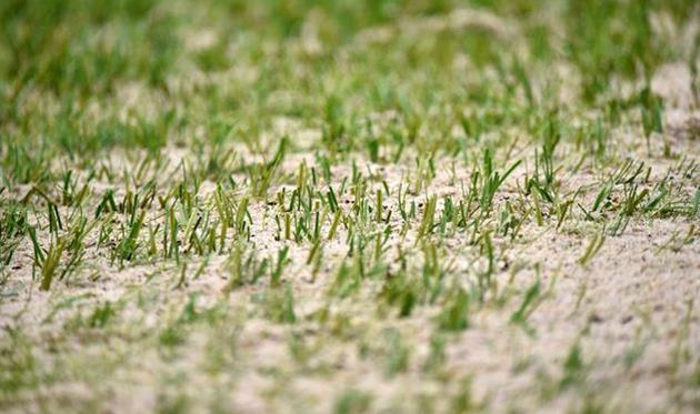 Газон на стадионе В.С. Бойко в день игры против Миная, фото ФК Мариуполь