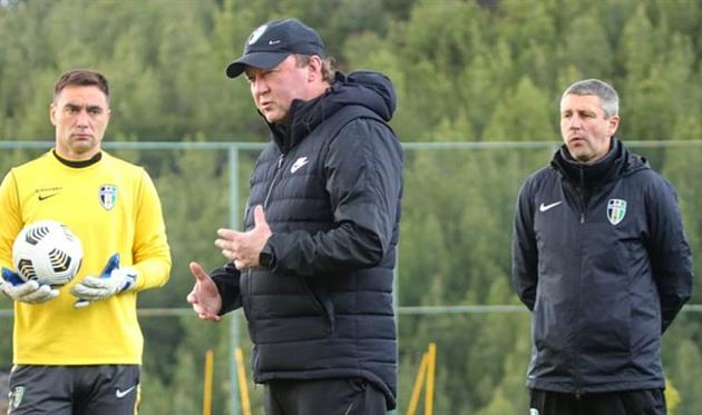 Владимир Шаран, ФК Александрия