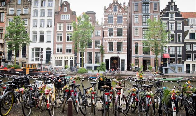 Украина — Нидерланды: заметки прямиком из Амстердама