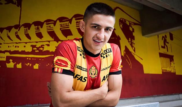 Швед, Мехелен