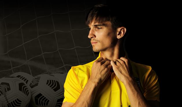 Дмитрий Шастал, ФК Александрия