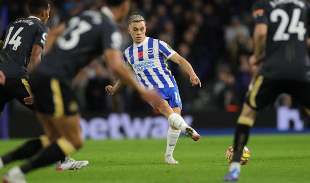 брайтон - ньюкасл, фото фк брайтон