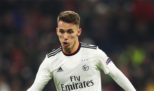 Алекс Гримальдо, Getty Images