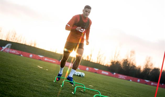 хатем бен арфа, лилль