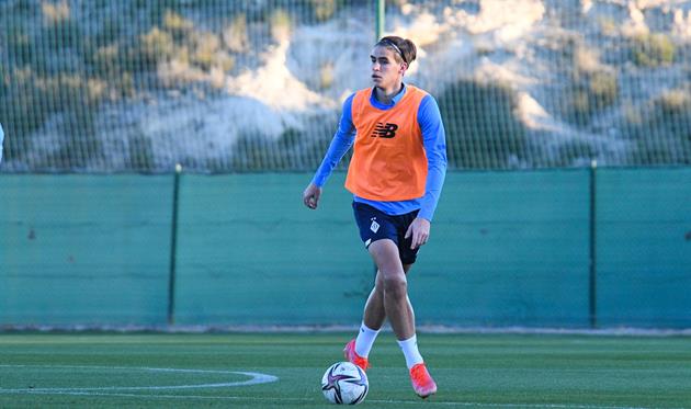 Антон Боль, ФК Динамо