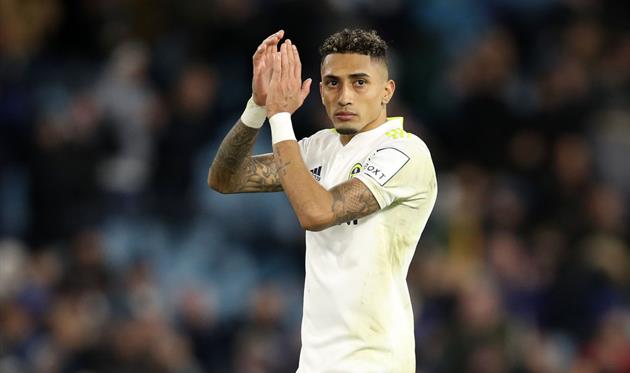 РАФІНЬЯ, GETTY IMAGES