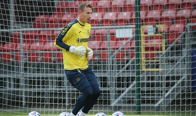 Дмитро Різник, УАФ