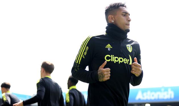 РАФІНЬЯ, GETTY IMAGES